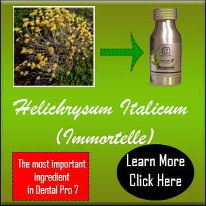 Helichrysum Italicum – The important ingredient in Pro 7