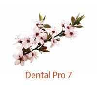 Dental Pro 7 inside on Pockets