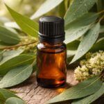 Eucalyptus Radiata Essential Oil
