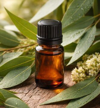 Eucalyptus Radiata Essential Oil