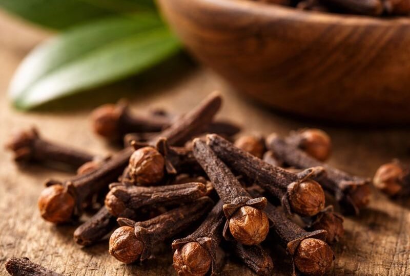 Eugenia Caryophyllus