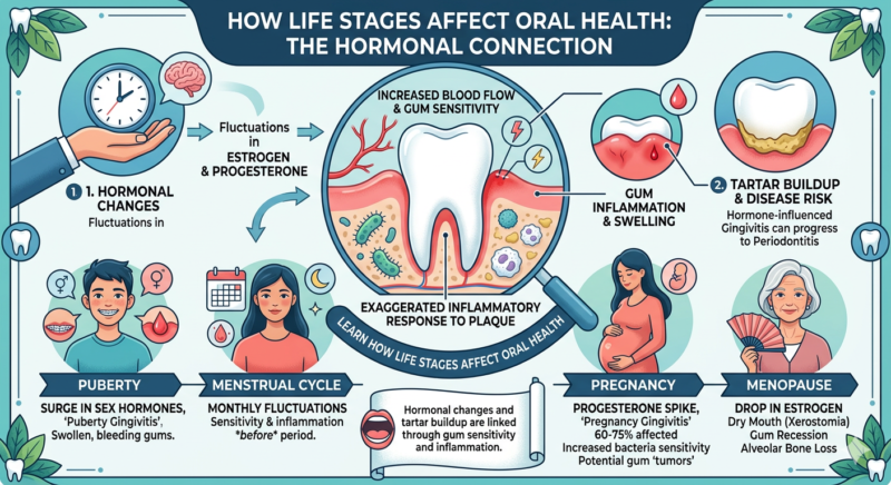 Hormonal Changes and Tartar Buildup