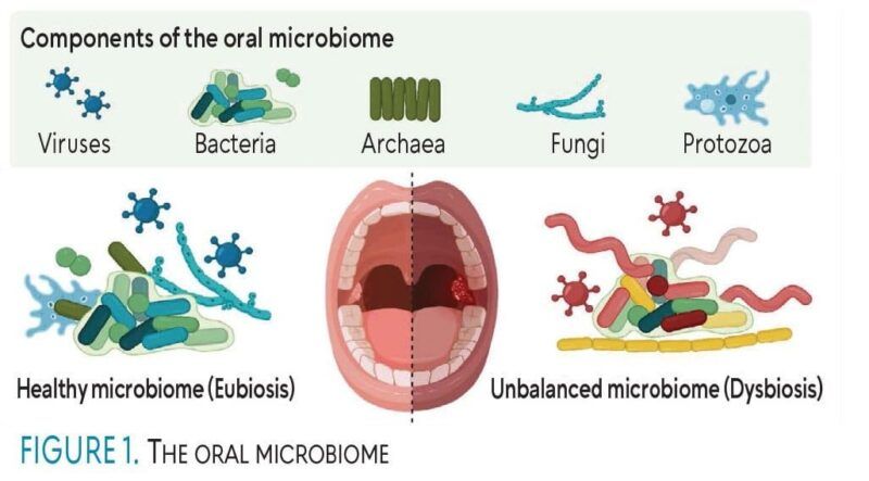 Dental Pro 7 for Bleeding Gums