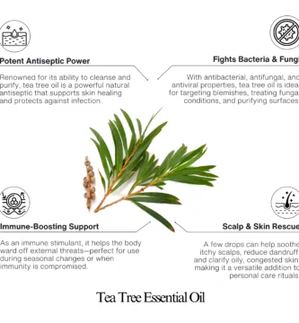 Natural Iingredients Dental Pro 7 Gum Health