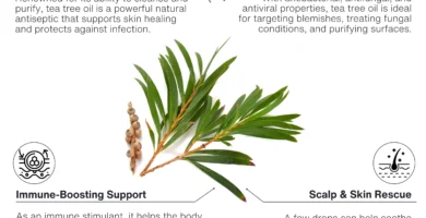 Natural Iingredients Dental Pro 7 Gum Health