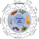 natural solution for bad breath87/100