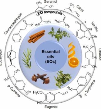 natural solution for bad breath87/100