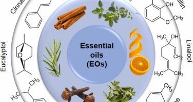 natural solution for bad breath87/100