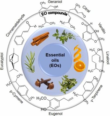 natural solution for bad breath87/100